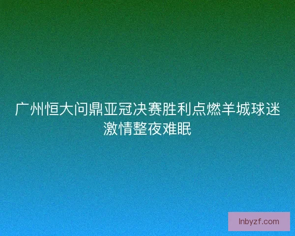 广州恒大问鼎亚冠决赛胜利点燃羊城球迷激情整夜难眠